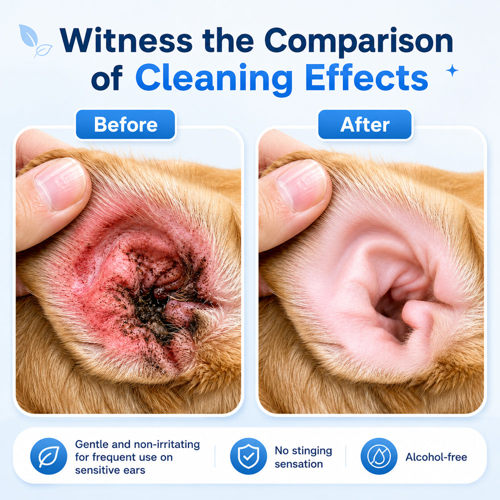 👩‍⚕️Crucane® Pet Ear Cleansing Solution