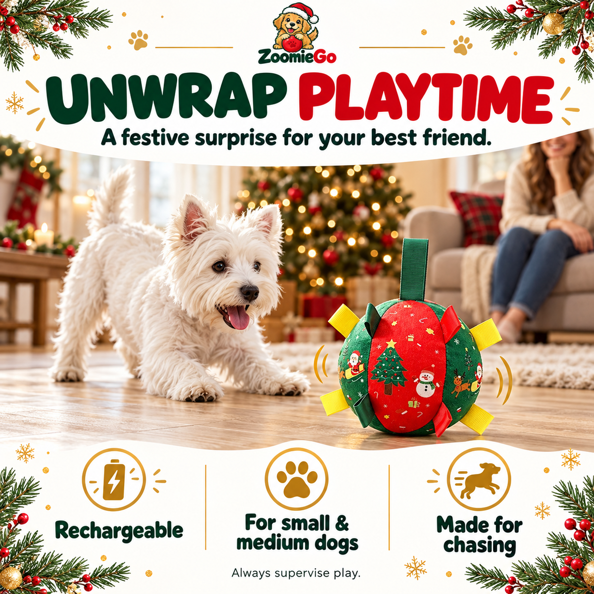 🎄 50% OFF | Christmas Interactive Dog Ball – Bell & Rechargeable Bouncing Toy🎄🐶🐱